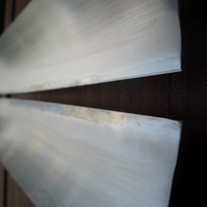DSCN6882