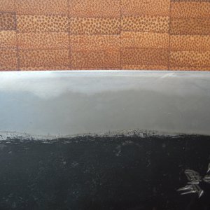DSCN6900