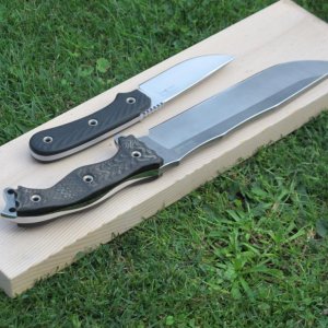 FFBM SAR4 02