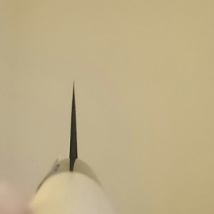 DSC 2081