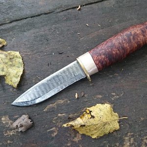 mf norrsken03