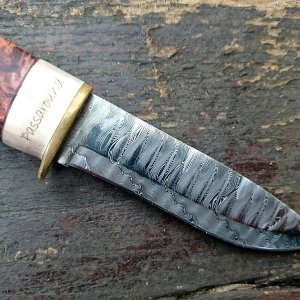 mf norrsken04