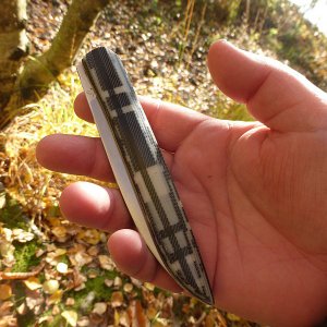 mf lannier05