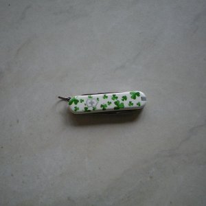 Trifolium