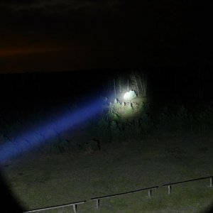 Beschreibung