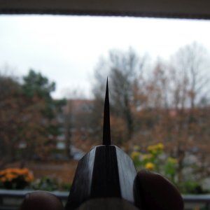 DSCN9534