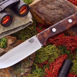 bravo 1 2 3v rosewood burl rampless full height grind jenni 379 95