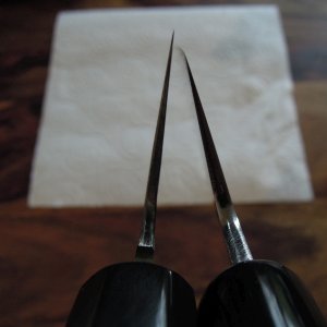 DSCN9506