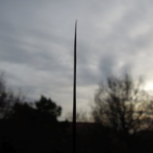 DSCN9616