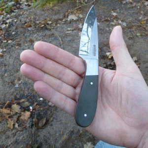 in Hand (1)