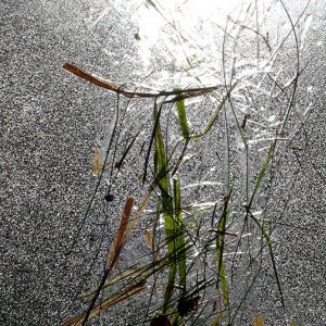 Beispiele506