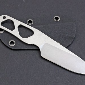 RS Cormorant  B