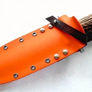 Saufeder 9