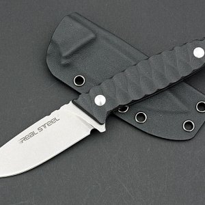 RS Observer F