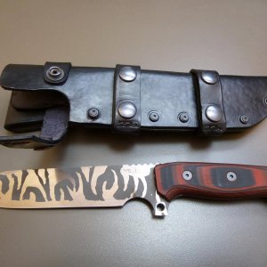 Holster+Desert1