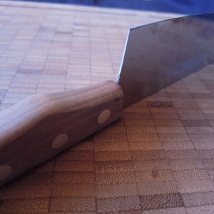 DSCN9769