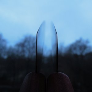 DSCN9781