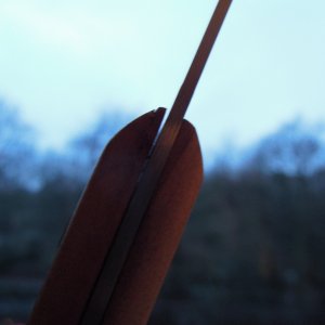 DSCN9785
