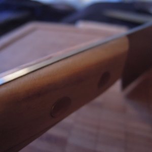 DSCN9788