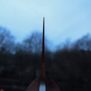 DSCN9790