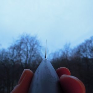 DSCN9805