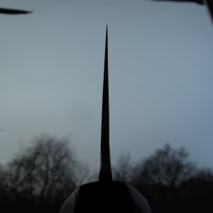DSCN9910 (2)