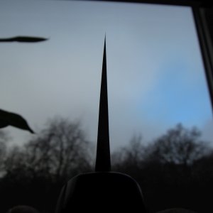 DSCN9921