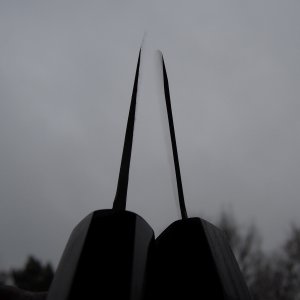 DSCN9961