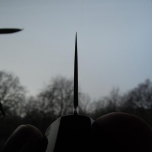 DSCN9906