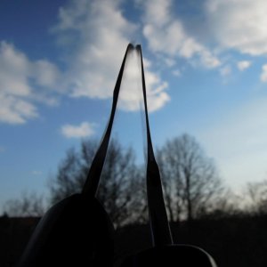 DSCN0171