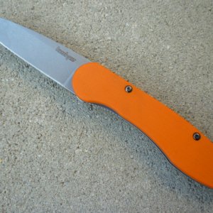 P1050272