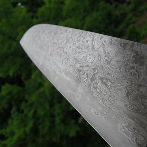 DSCN1503