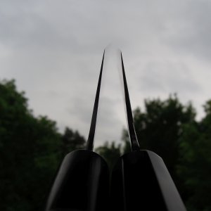 DSCN1511