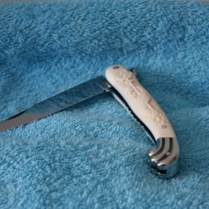 IMG 7564