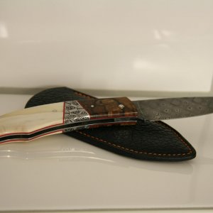 IMG 7629
