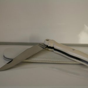 IMG 7673