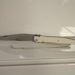 IMG 7677