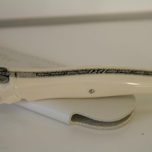 IMG 7681