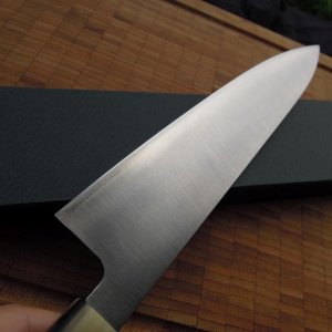 DSCN1610