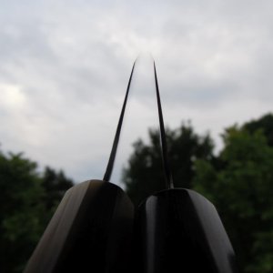DSCN1623