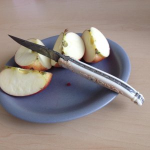 IMG 3576