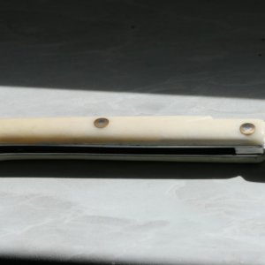 IMG 7354