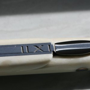 IMG 7356