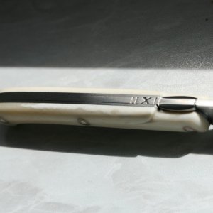 IMG 7358