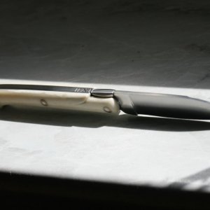 IMG 7359