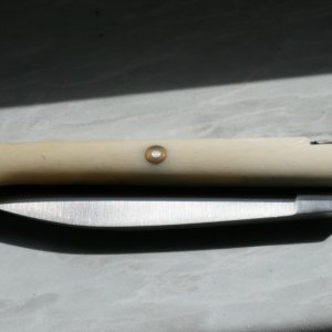 IMG 7369