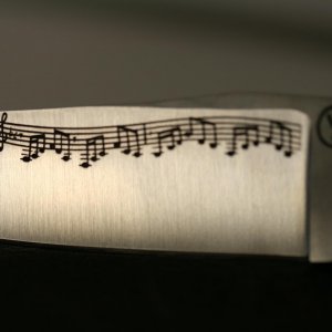 IMG 7724
