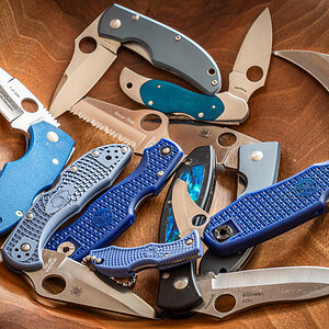 2025-03-20_blaue Spydies_0001.jpg