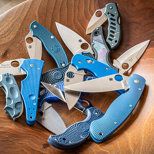 2025-04-07_blaue Spydies_0001.jpg