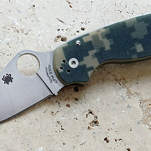 Sp_Para3_1.jpg
